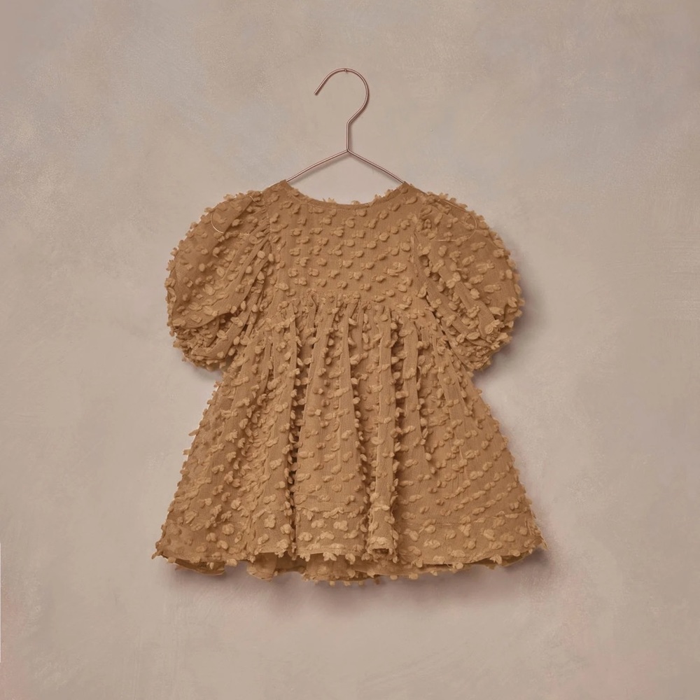 Noralee Luna Dress in Golden 2T